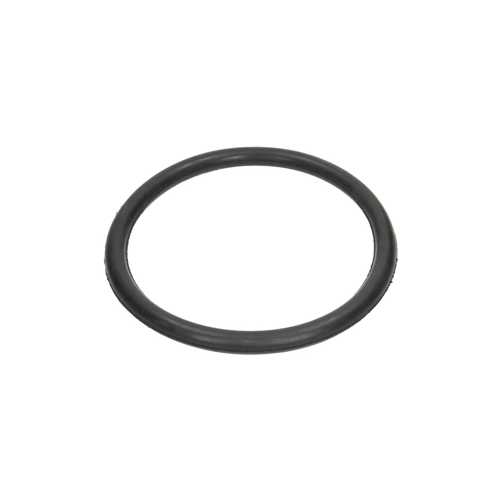 O-ring 220x19mm