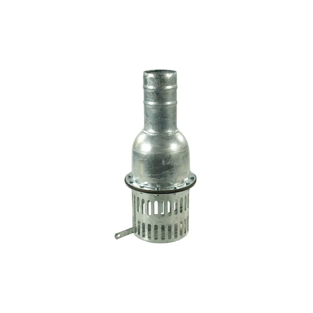 Filtru de absorbție și supapă de picior 4"