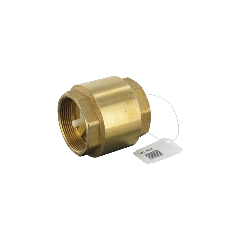Ventil antiretur 2"