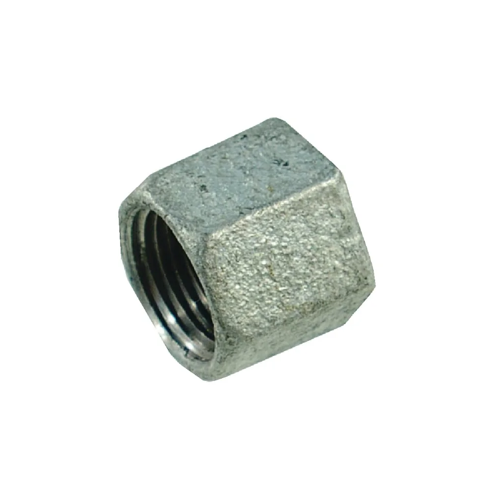 Capac hexagonal galv. 1"