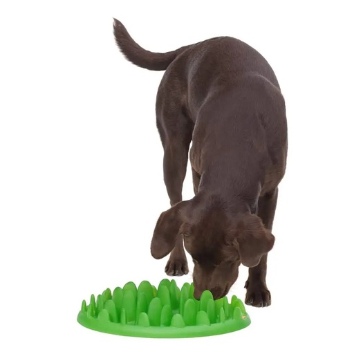 Castron interactiv caini - GREEN