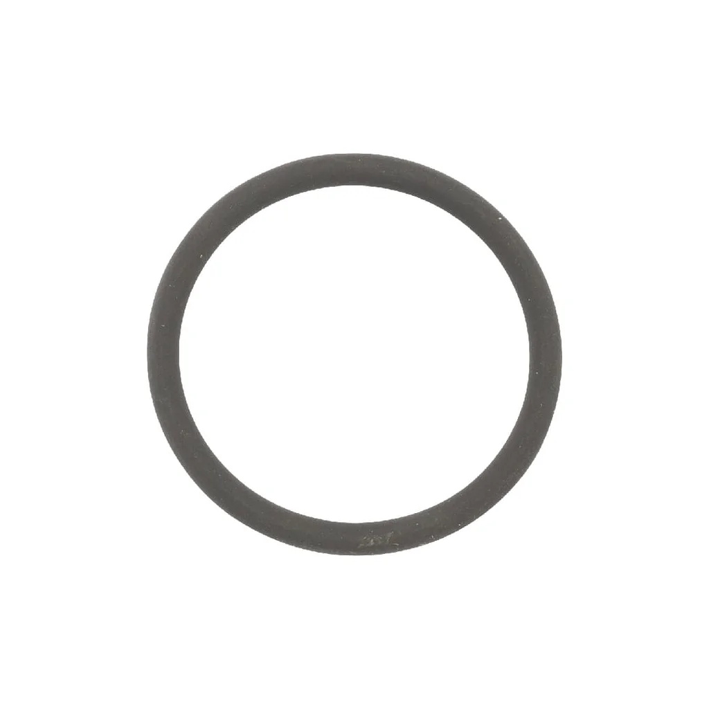 O-ring