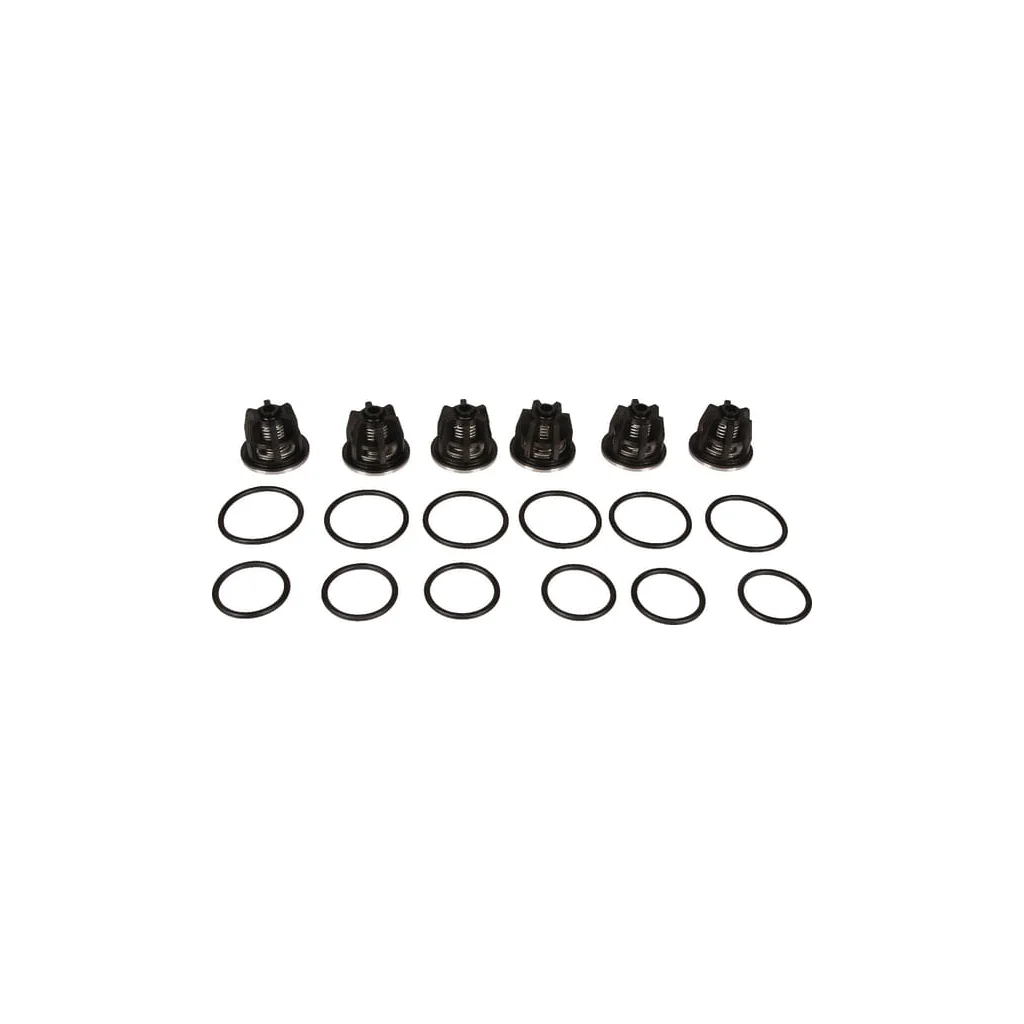 Set supape Bertolini