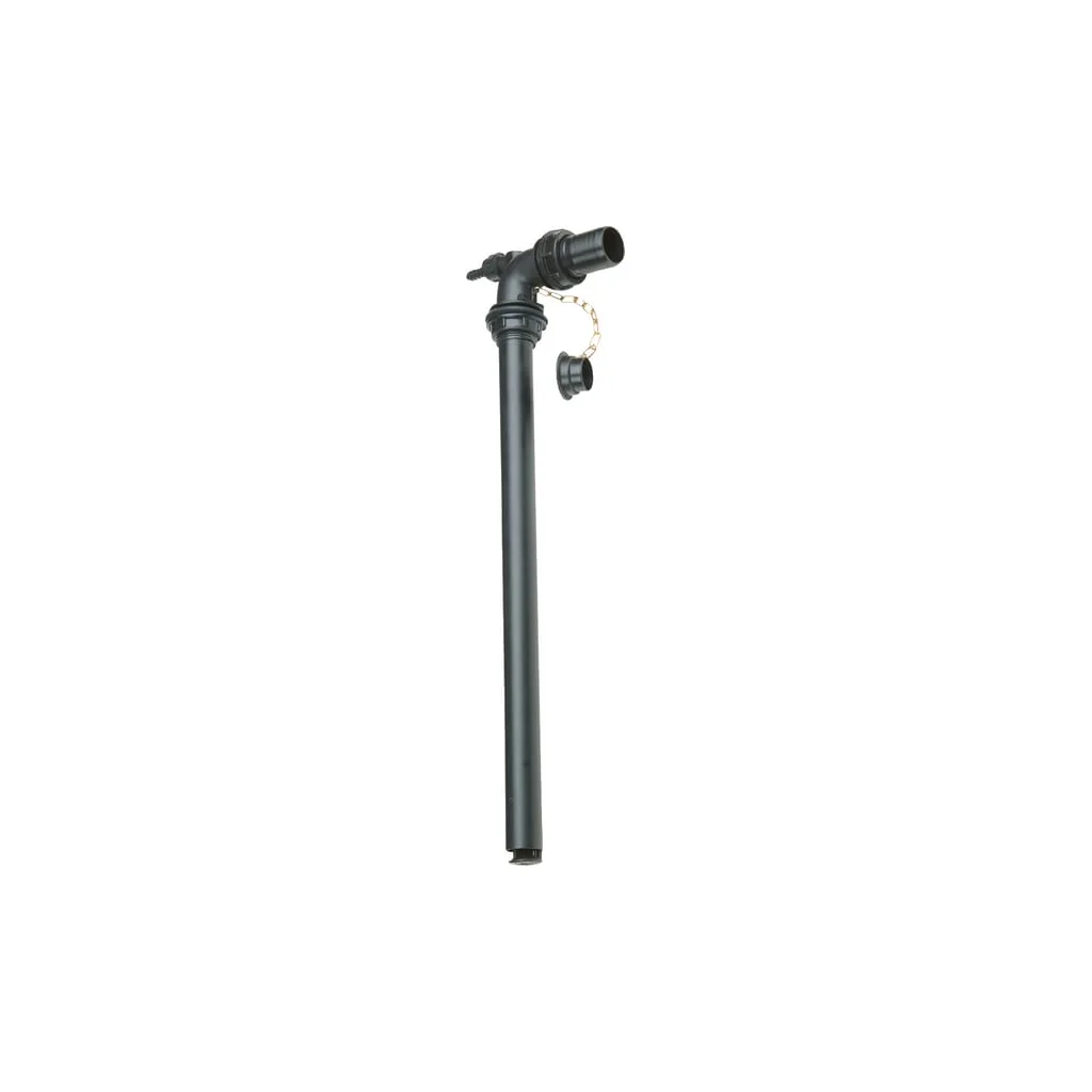 Injector pulverizare