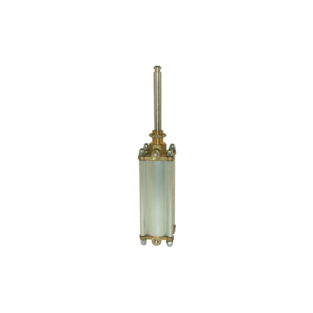 Cilindru pneumatic 5" cu magnet MZ