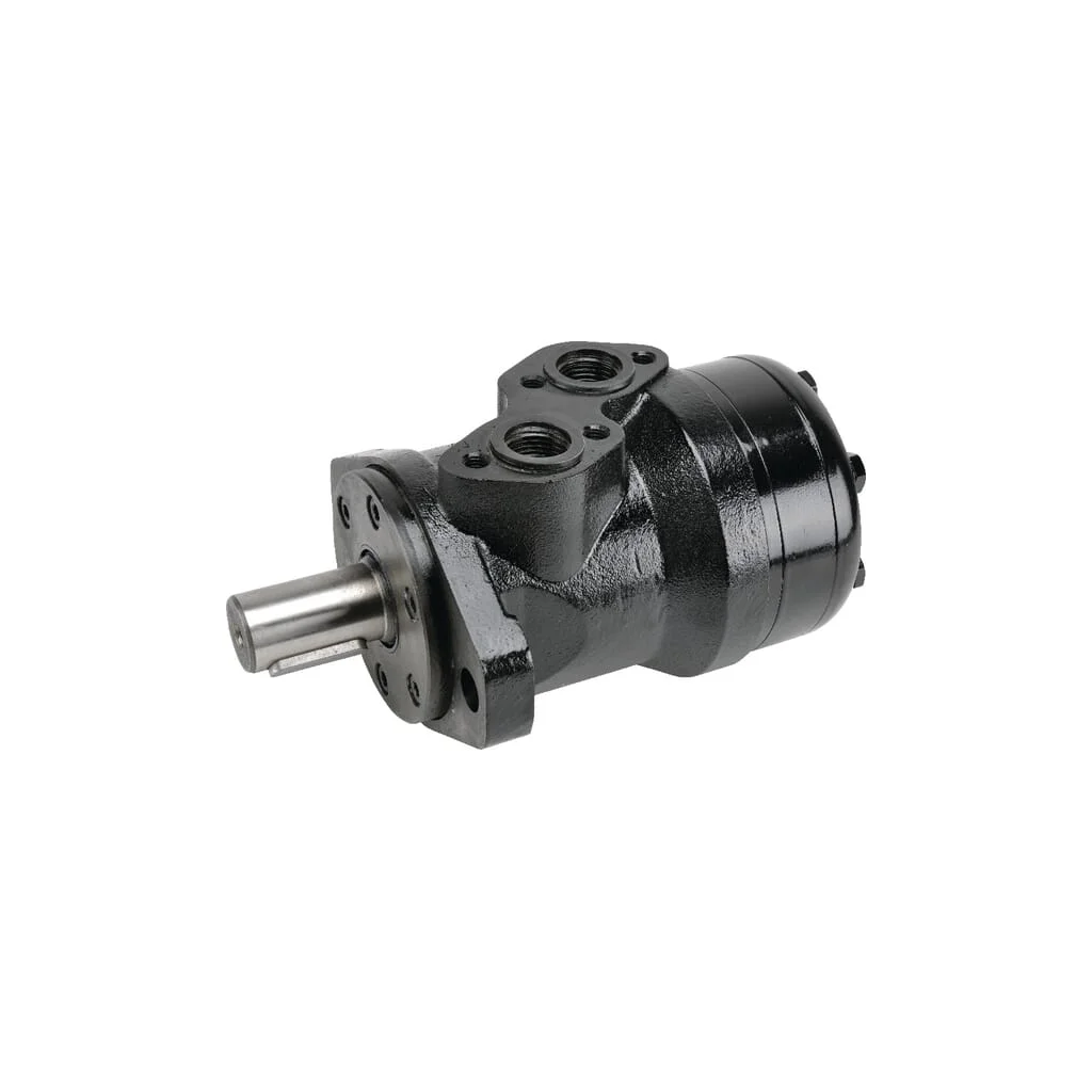 Motor hidraulic 100cc BR-EVO