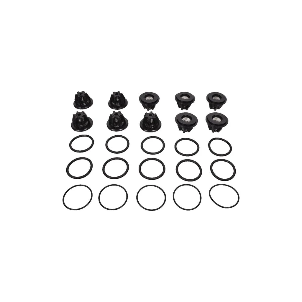 Set supape Bertolini