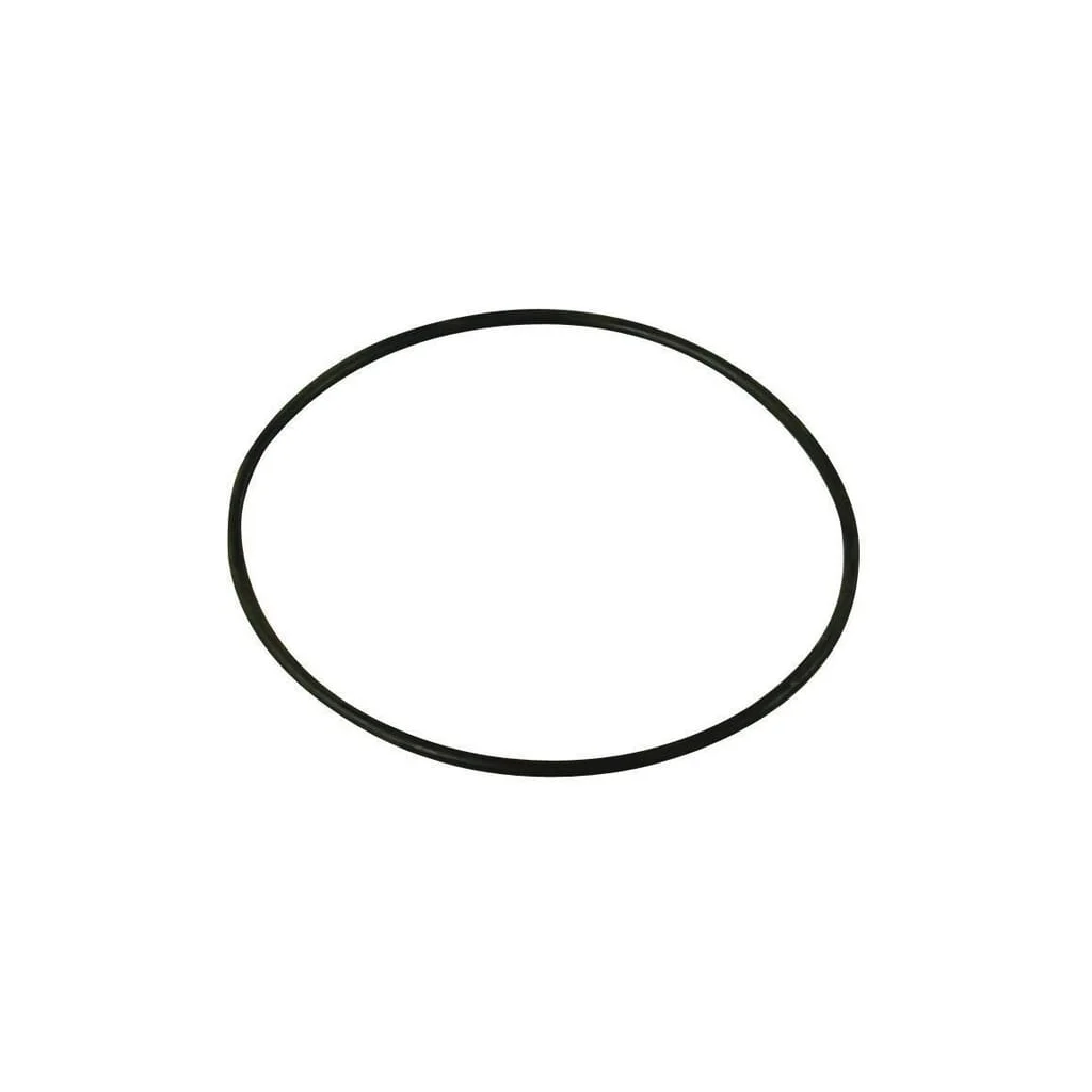 O-ring 17,5x2,62mm 70 shore EPDM negru Annovi Reverberi