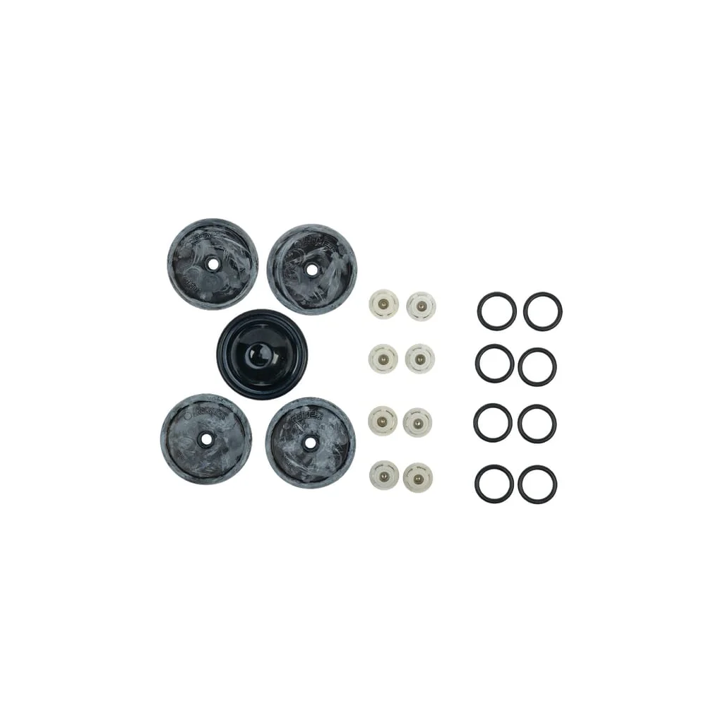 Set de reparaţie pompă, BP 151K