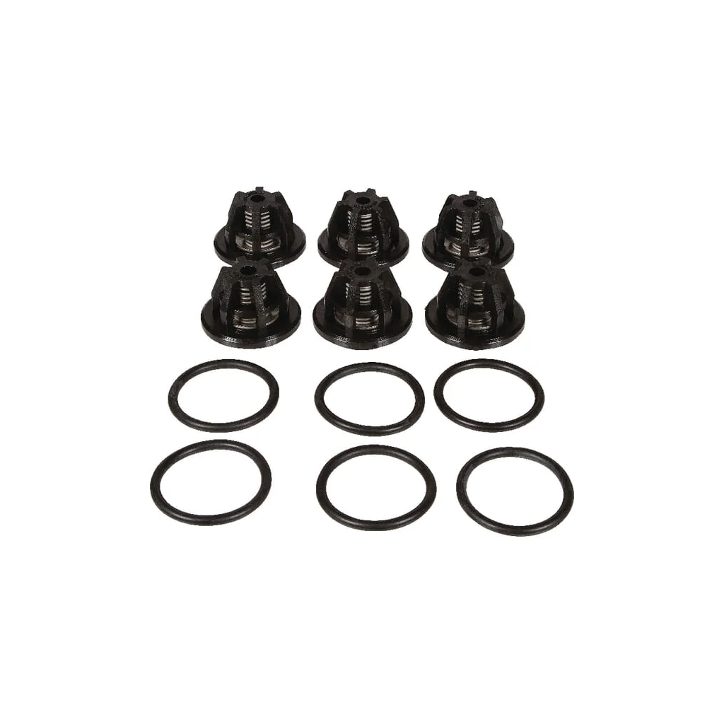 Set supape Bertolini