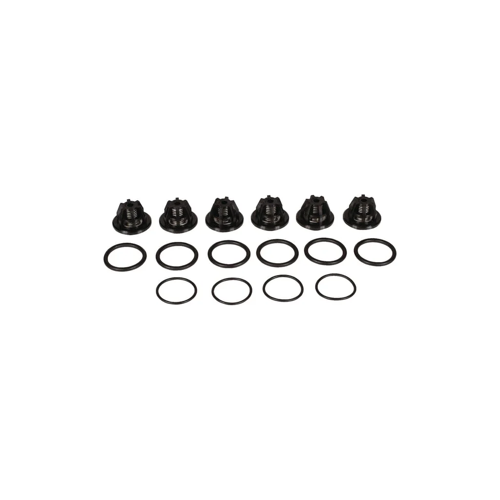 Set supape Bertolini