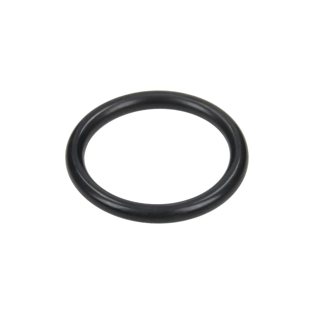 O-ring 31,5x4,25mm 70 shore negru Annovi Reverberi