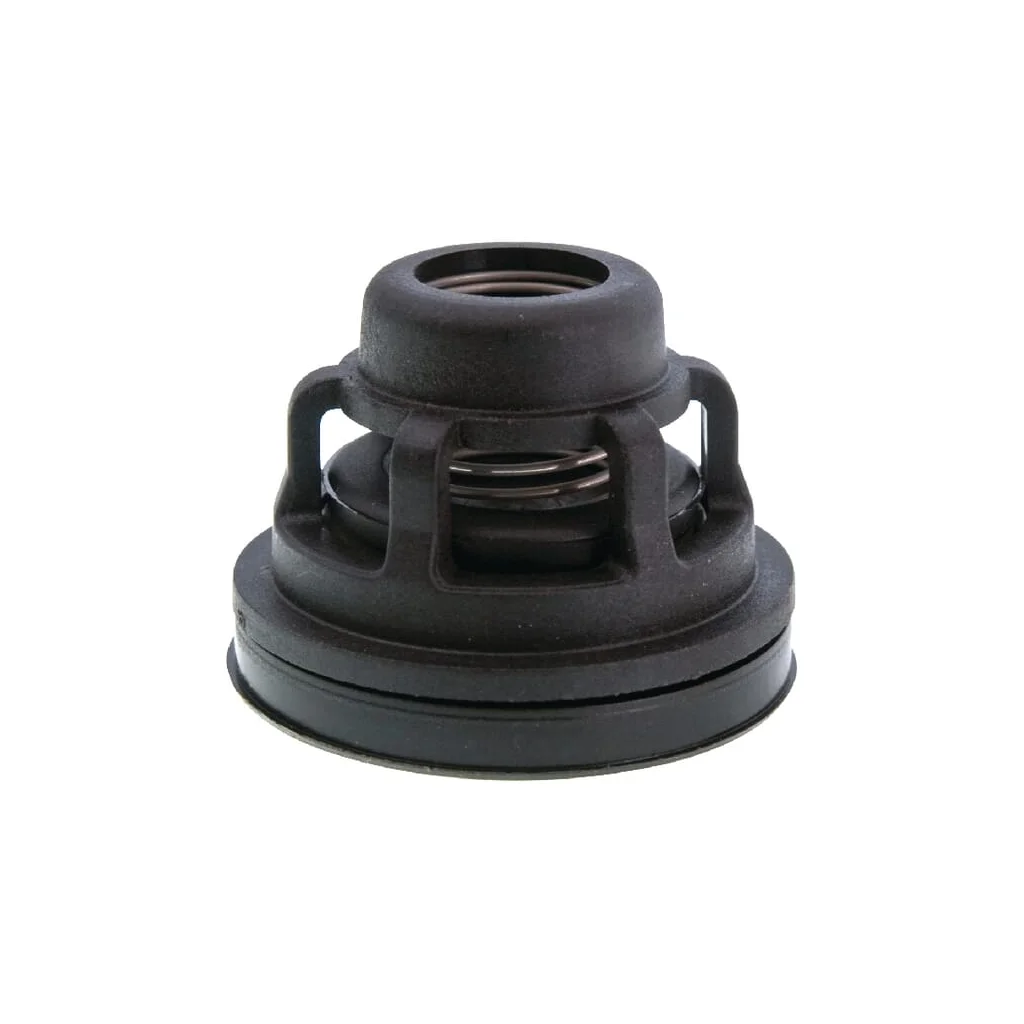 Supapă de pompare D35