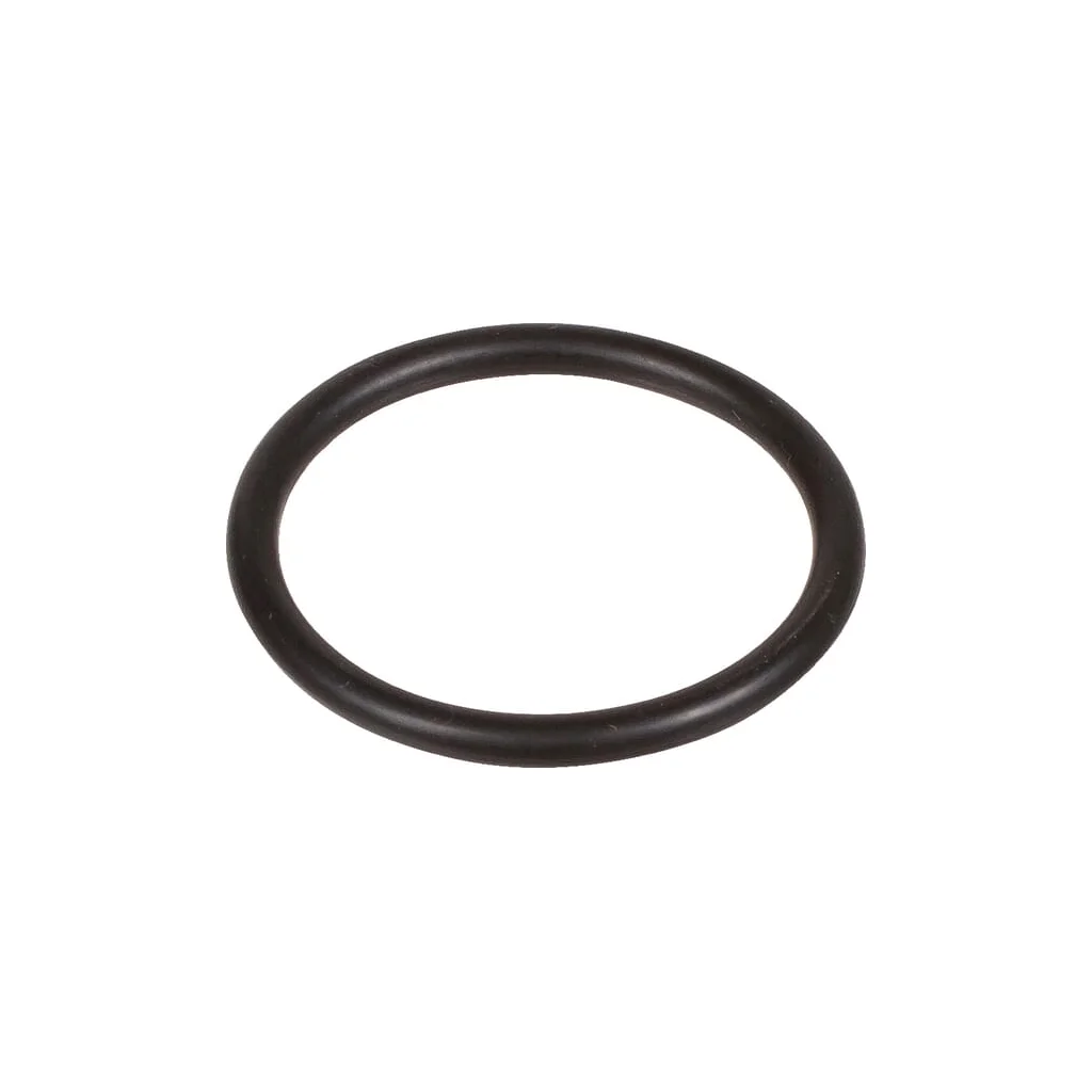 O-ring 25,07x2,62mm 70 shore EPDM negru Bertolini