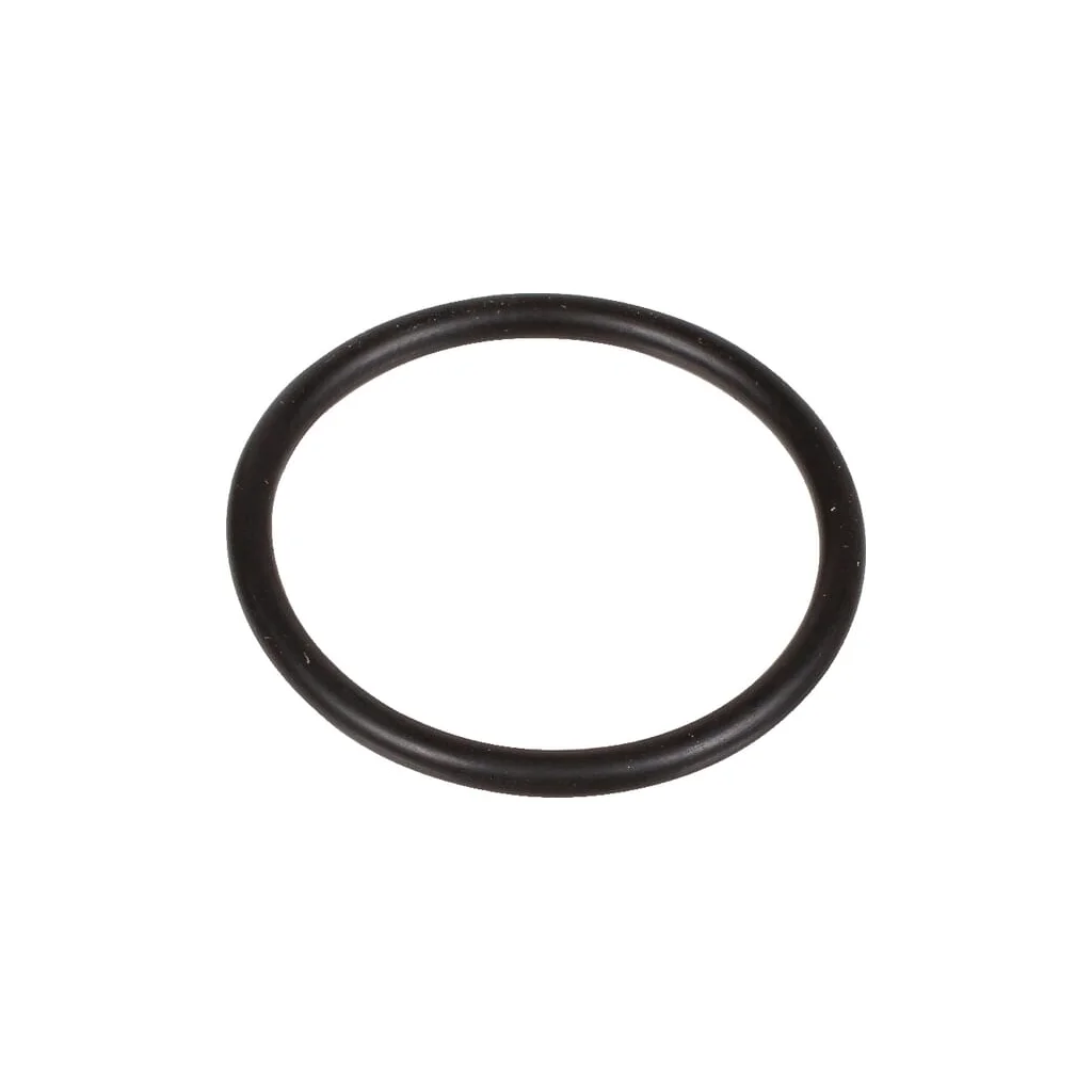 O-ring 29,82x2,62mm 70 shore EPDM negru Bertolini