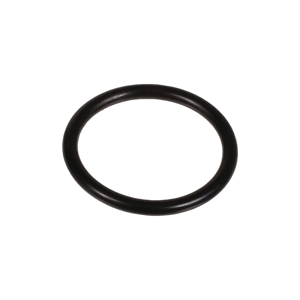 O-ring 31,34x3,53mm 70 shore EPDM negru Bertolini