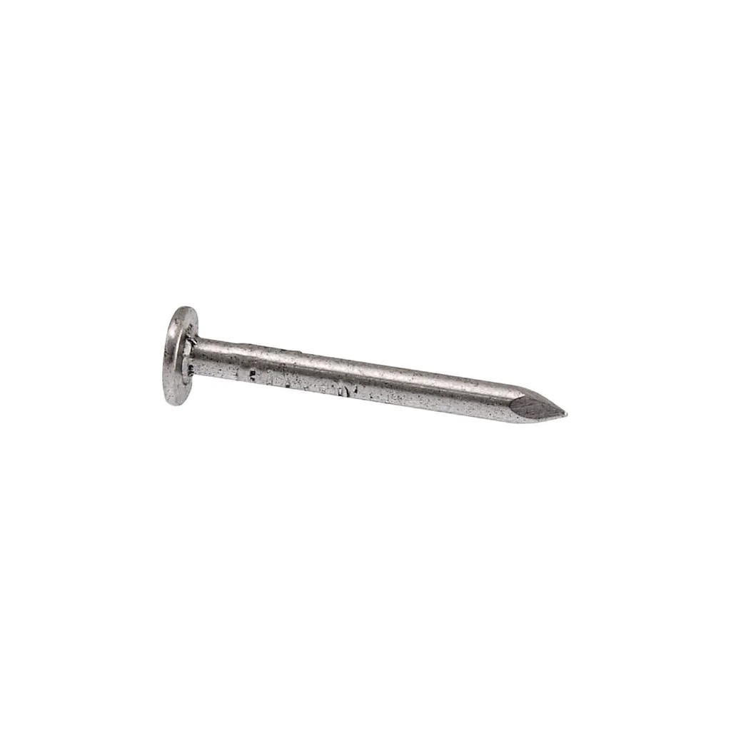Cuie de construcţii pentru carton asfalt, 3,0 x 30 mm