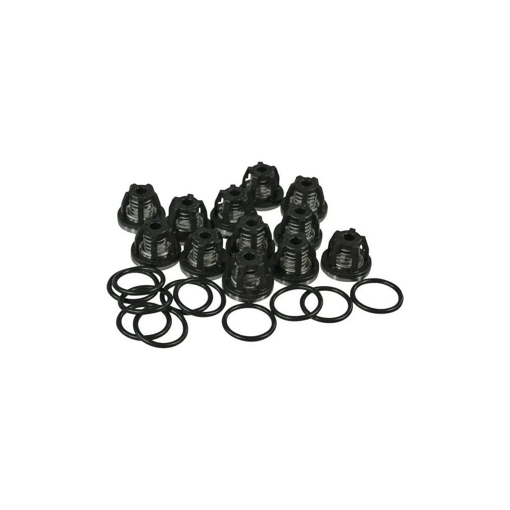 Set supape 6 cilindri (12 supape)
