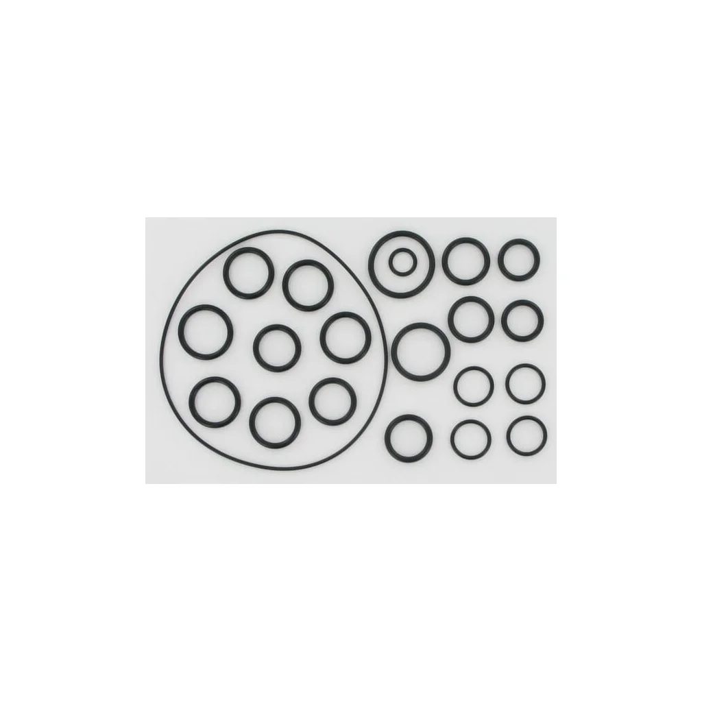 Set o-ringuri pentru AR202 / 252