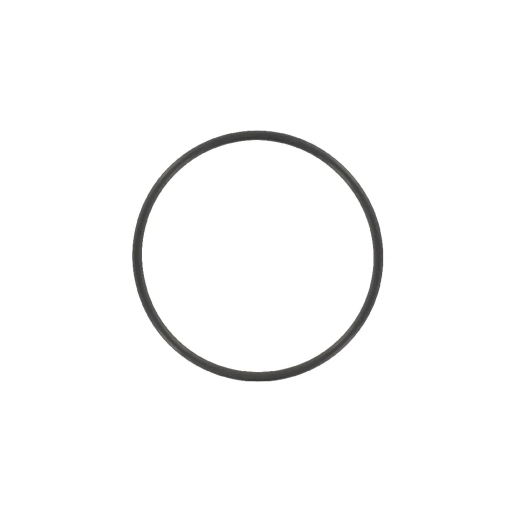 O-ring 59,99x2,62mm 70 shore negru Battioni Pagani