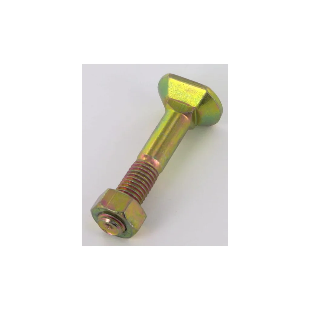 Bulon + piuliţă M12x70