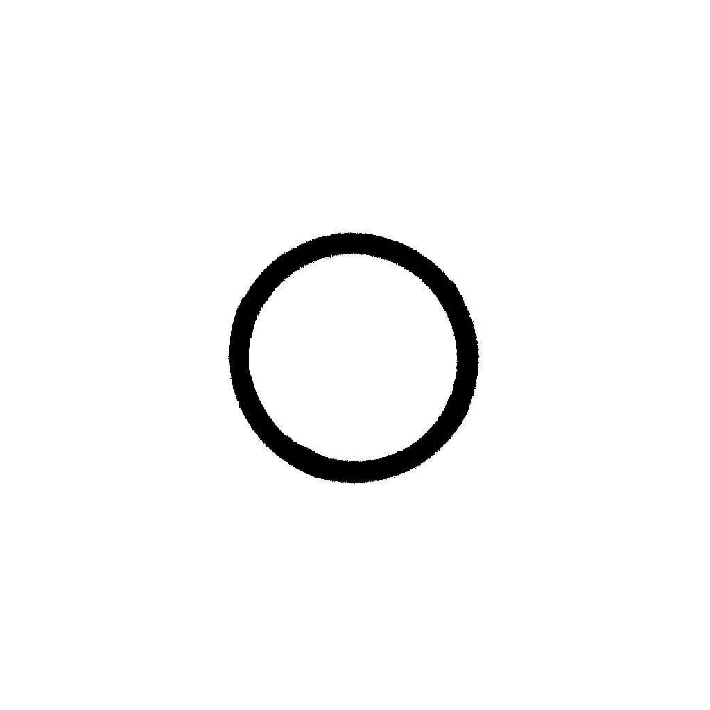 O-ring 21.92x2.62mm 70 shore EPDM negru