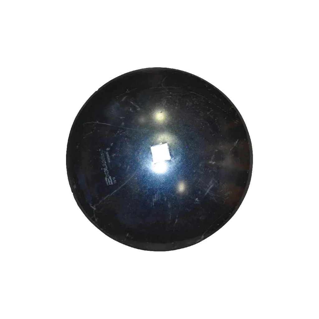 Taler disc neted 660x6/51
