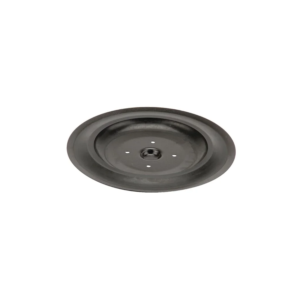 Disc de plug Ø300mm