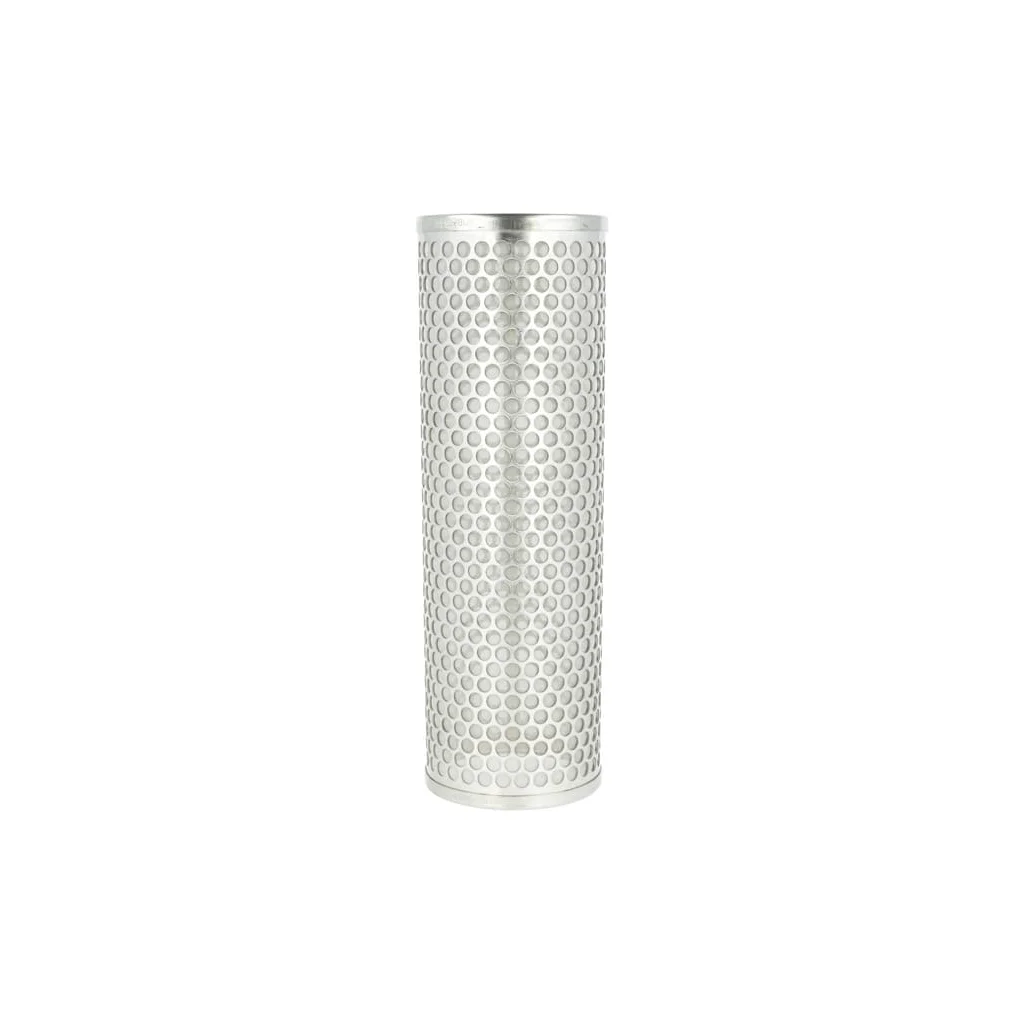 Element filtrant 80 mesh SS 2" Full Port