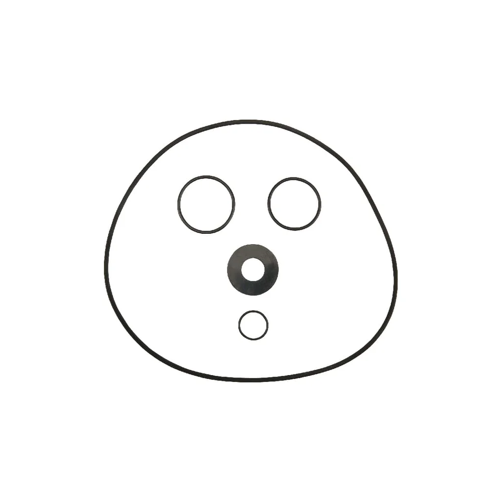 Set o-ring