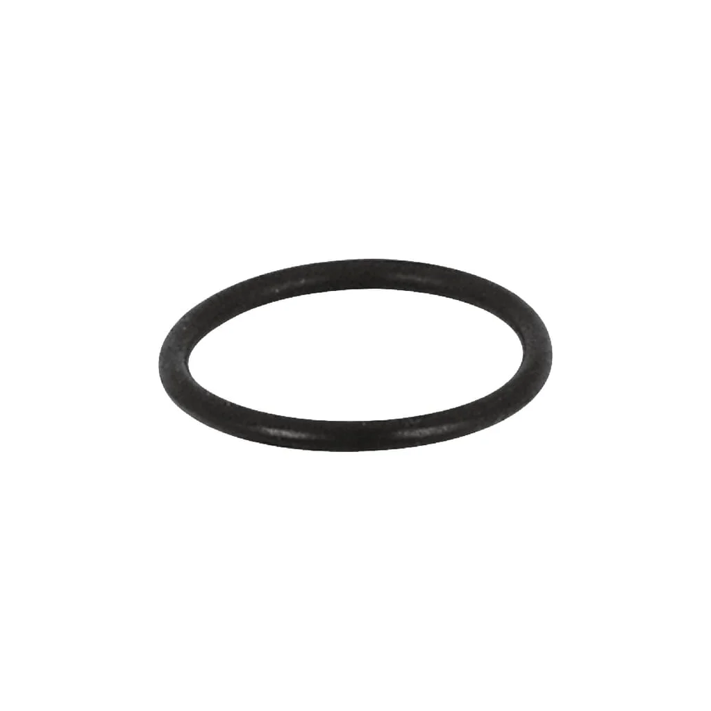 O-ring pentru cupa sifon OCEAN