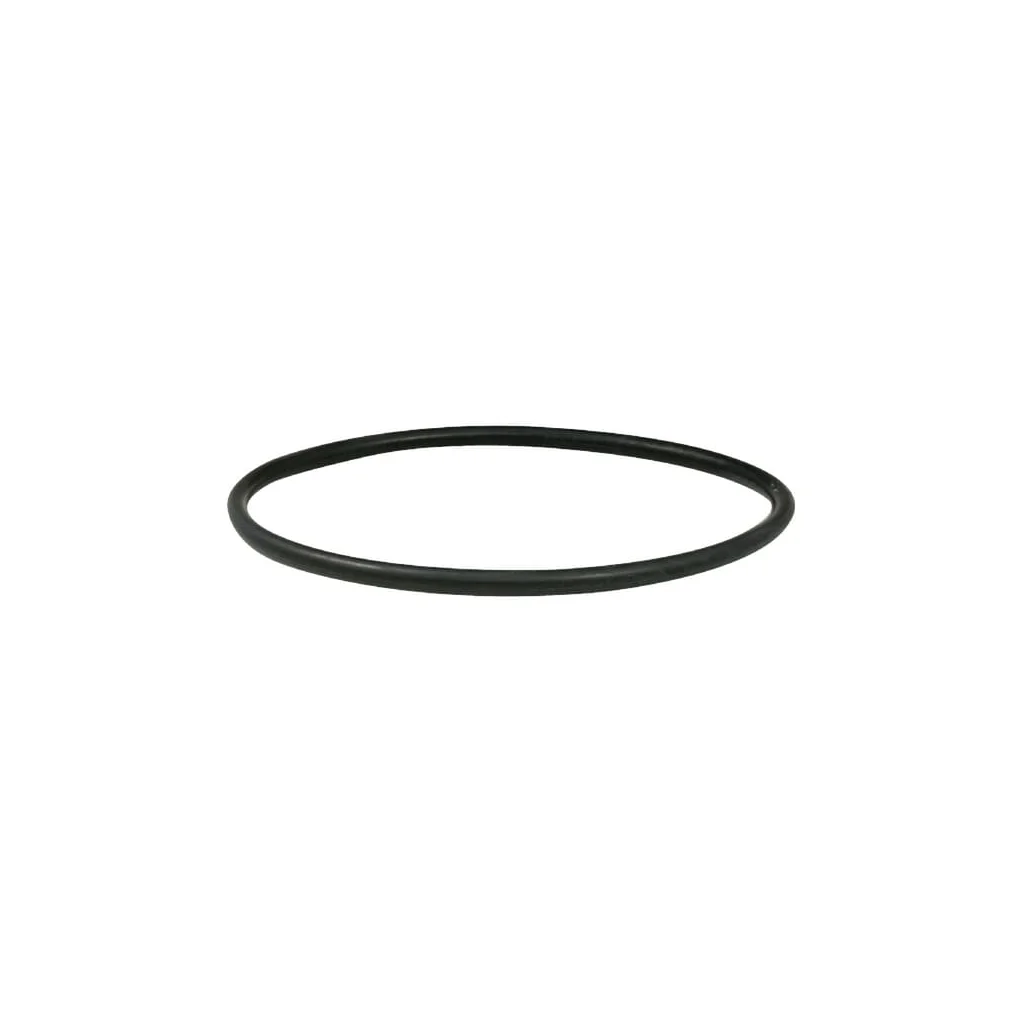 O-ring pentru sifonul cupei GIADA