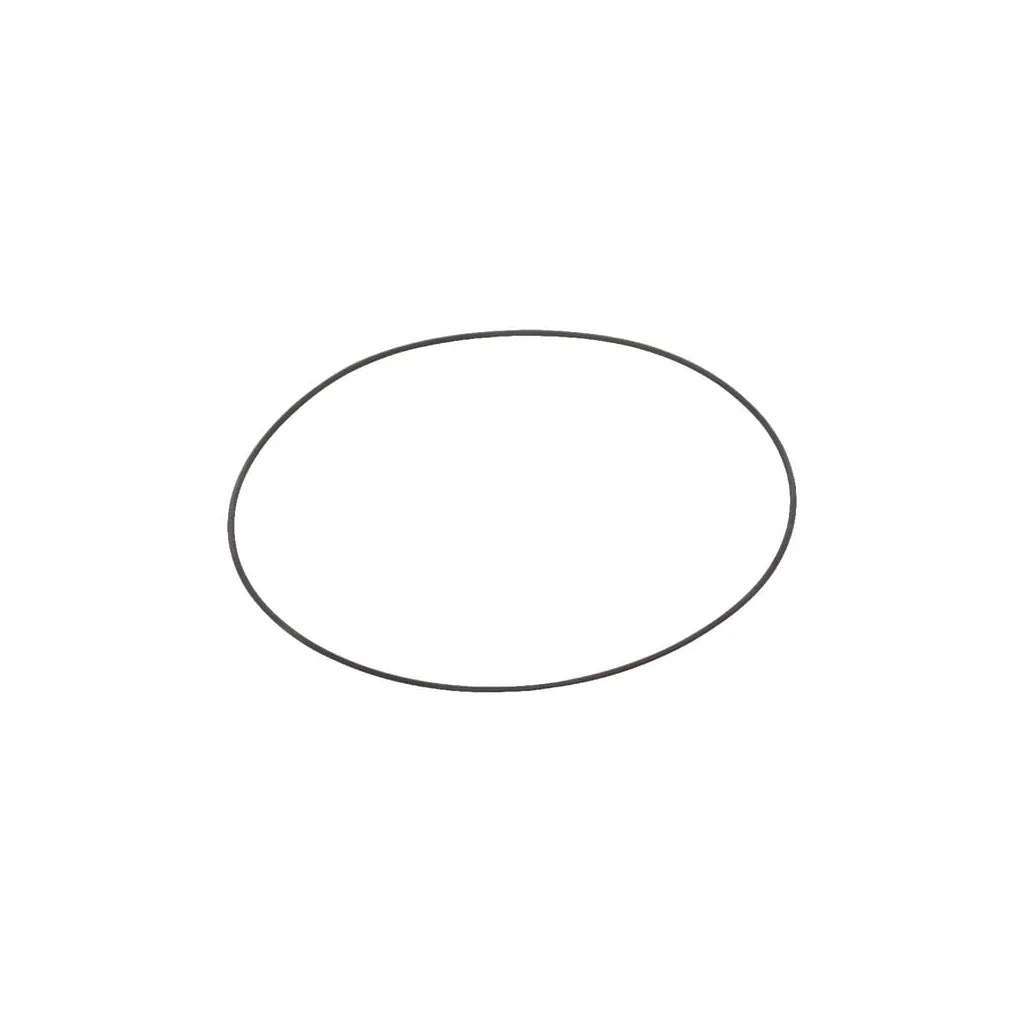 O-ring/inel de etanșare filtru Solo
