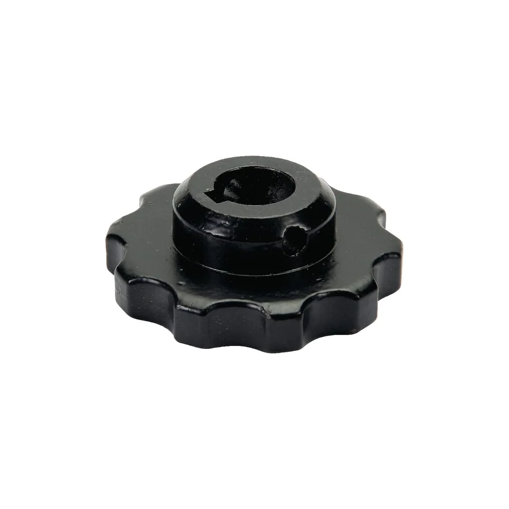 Pinion