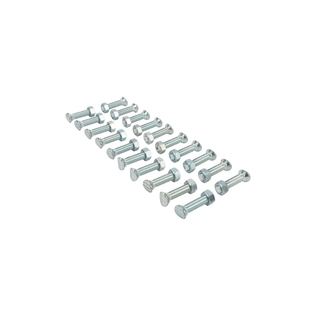 Set șuruburi cap oval gât pătrat M12x55mm 20 buc.