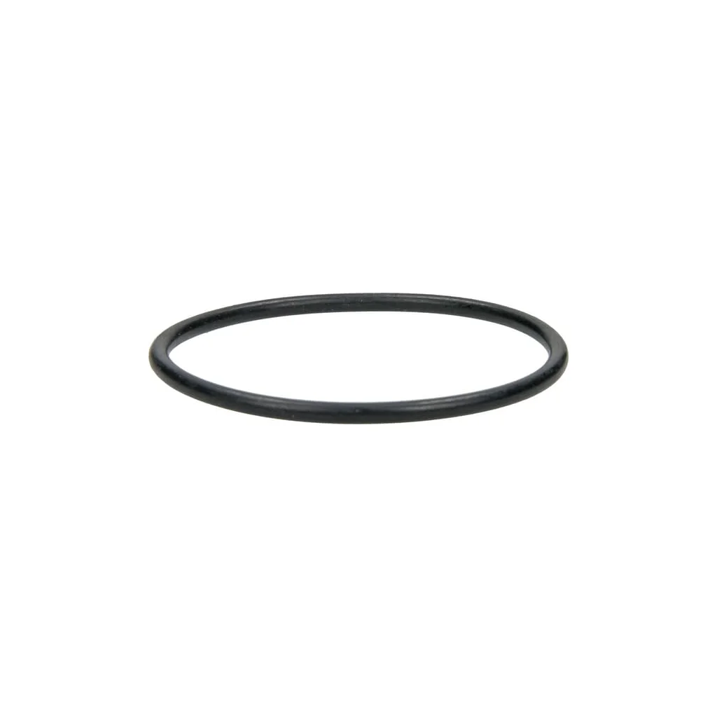 O-ring