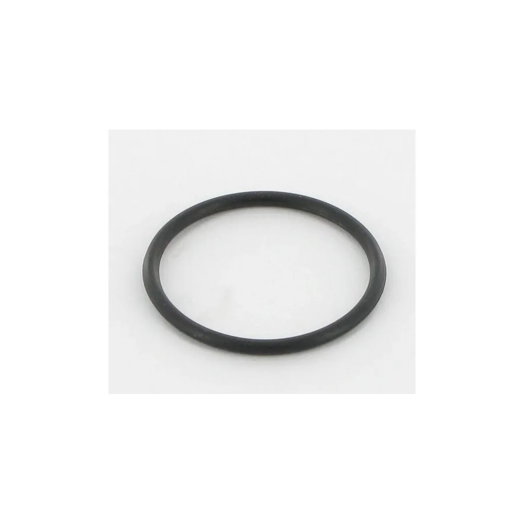 O-ring