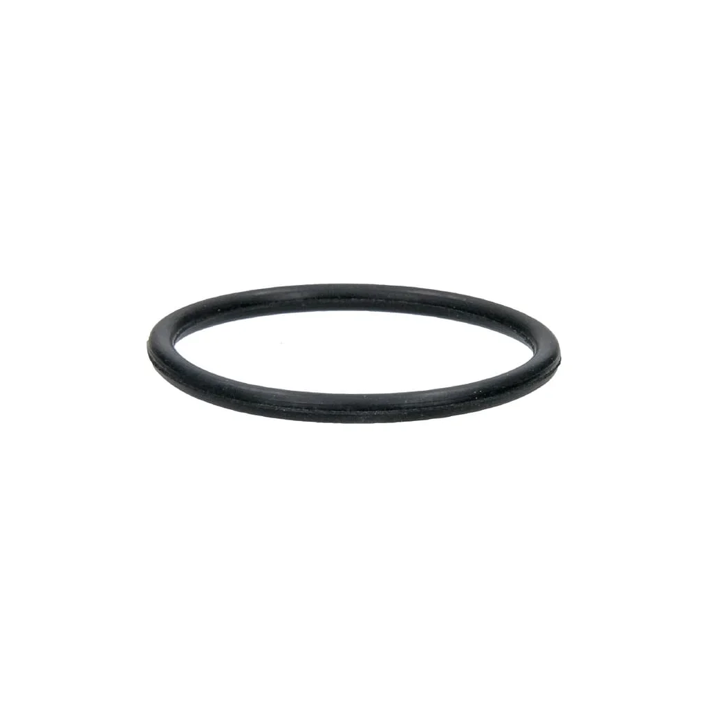 O-ring