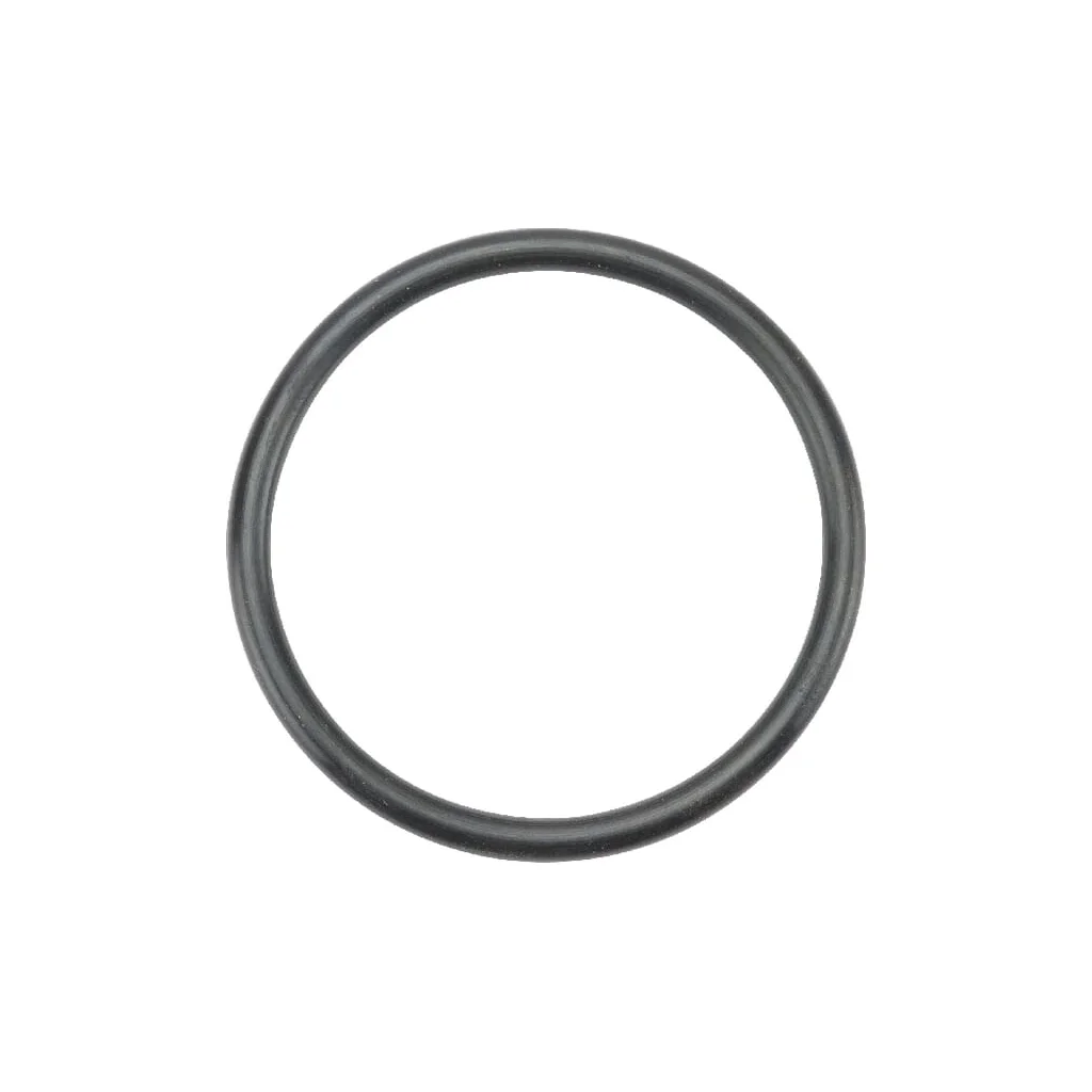 O-ring