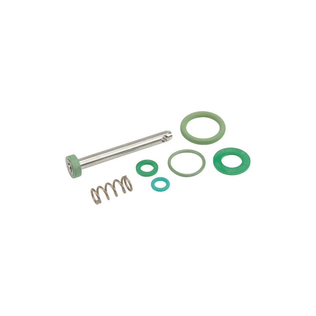 Set garnituri declanșator Viton (10B) REB