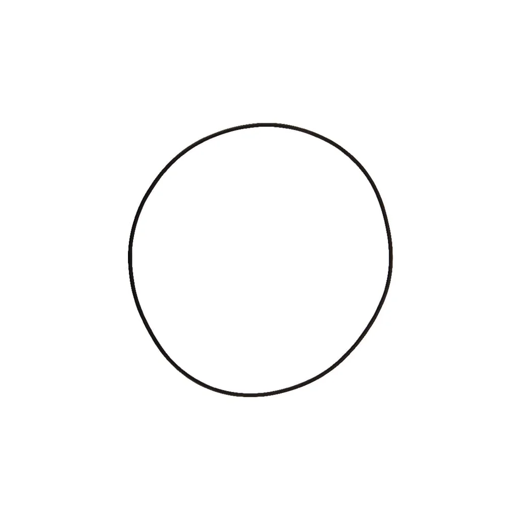 O-ring 164,77x2,62mm 70 shore negru Comet