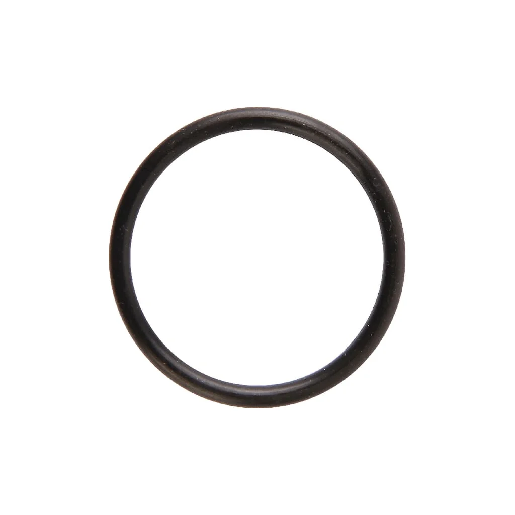 O-ring