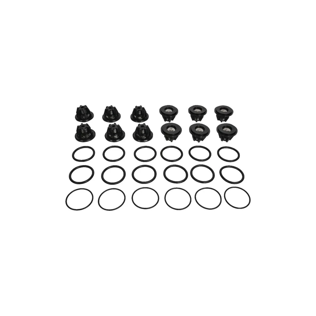 Set de ventil Bertolini
