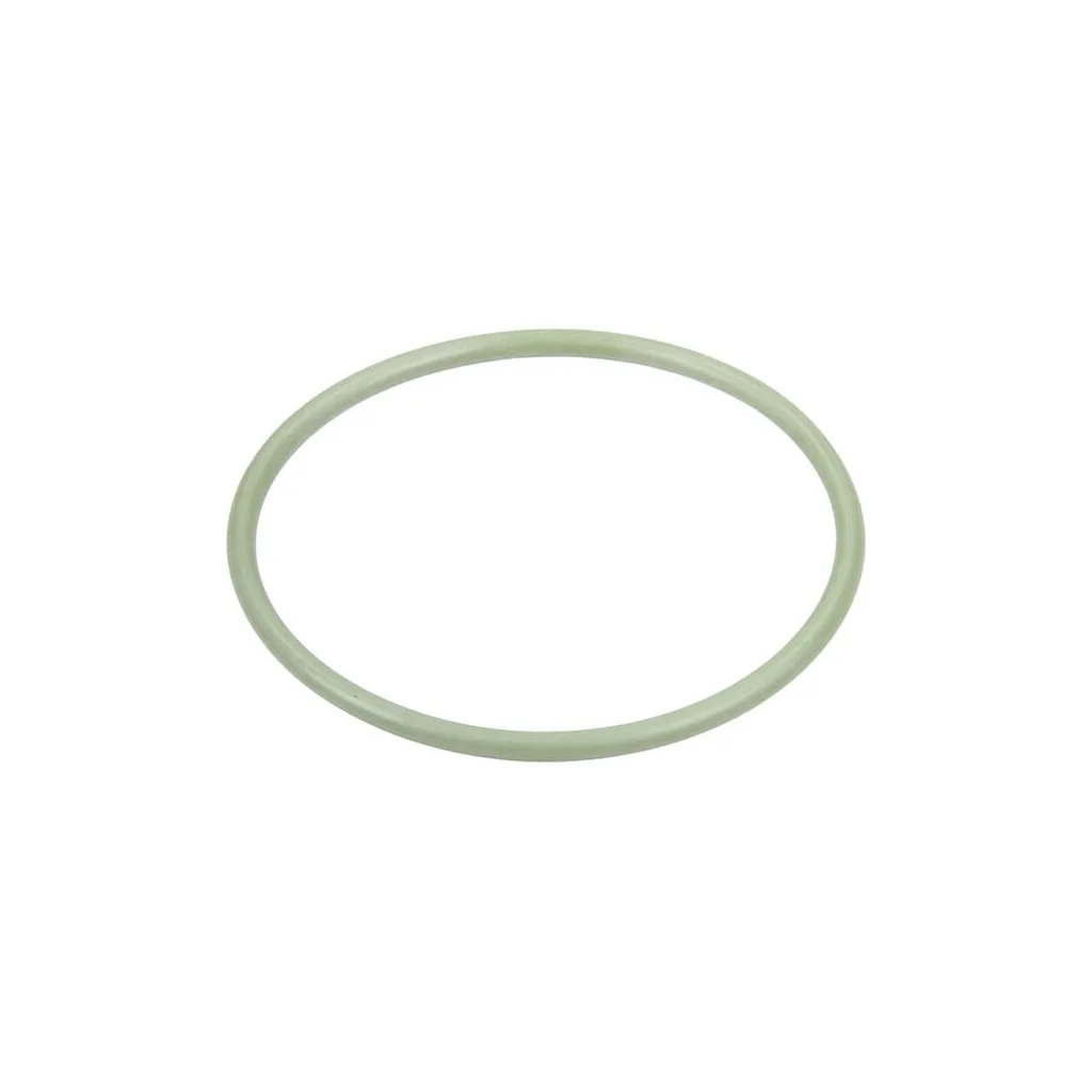 O-ring 47,3x2,62mm 70 shore Viton negru Annovi Reverberi