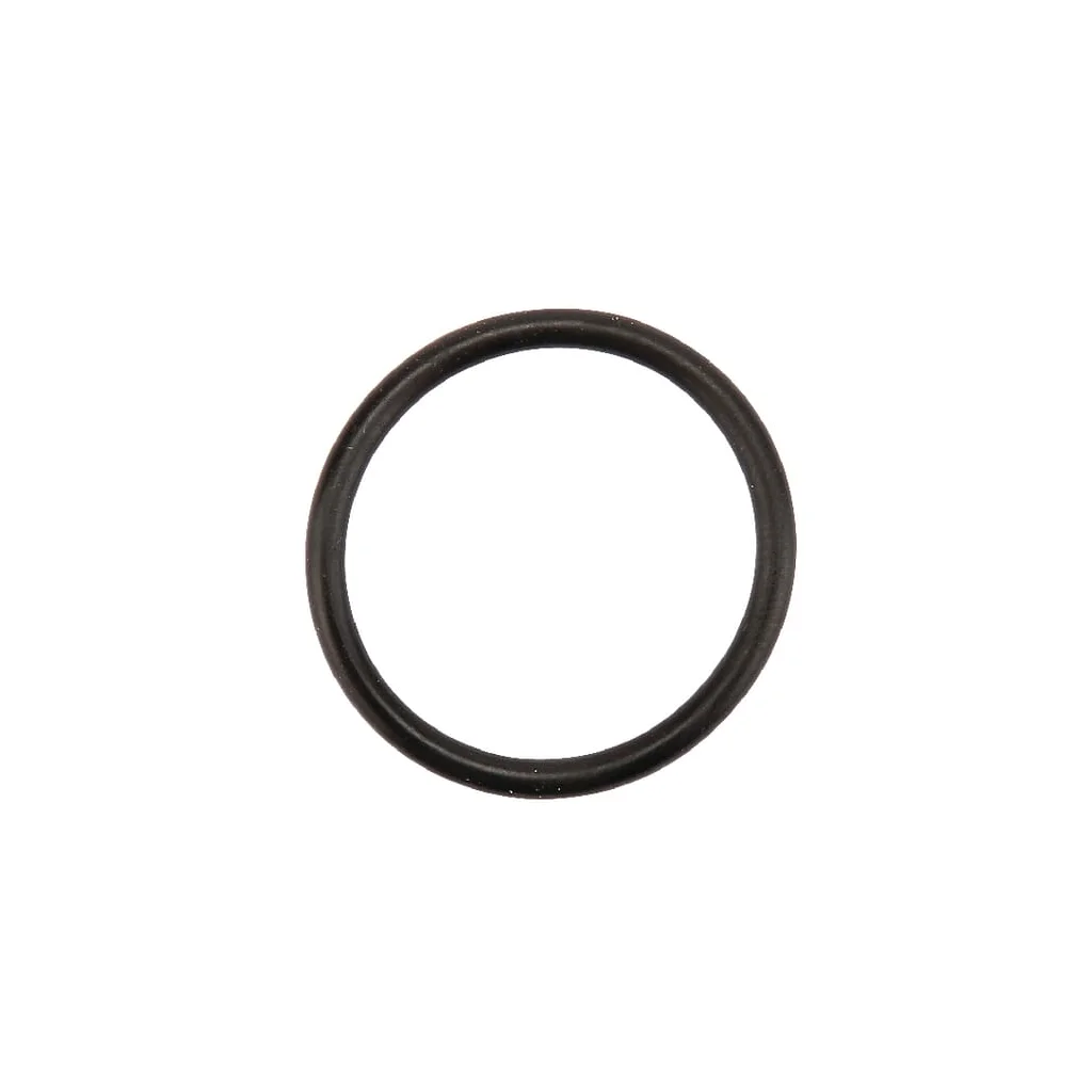 O-ring