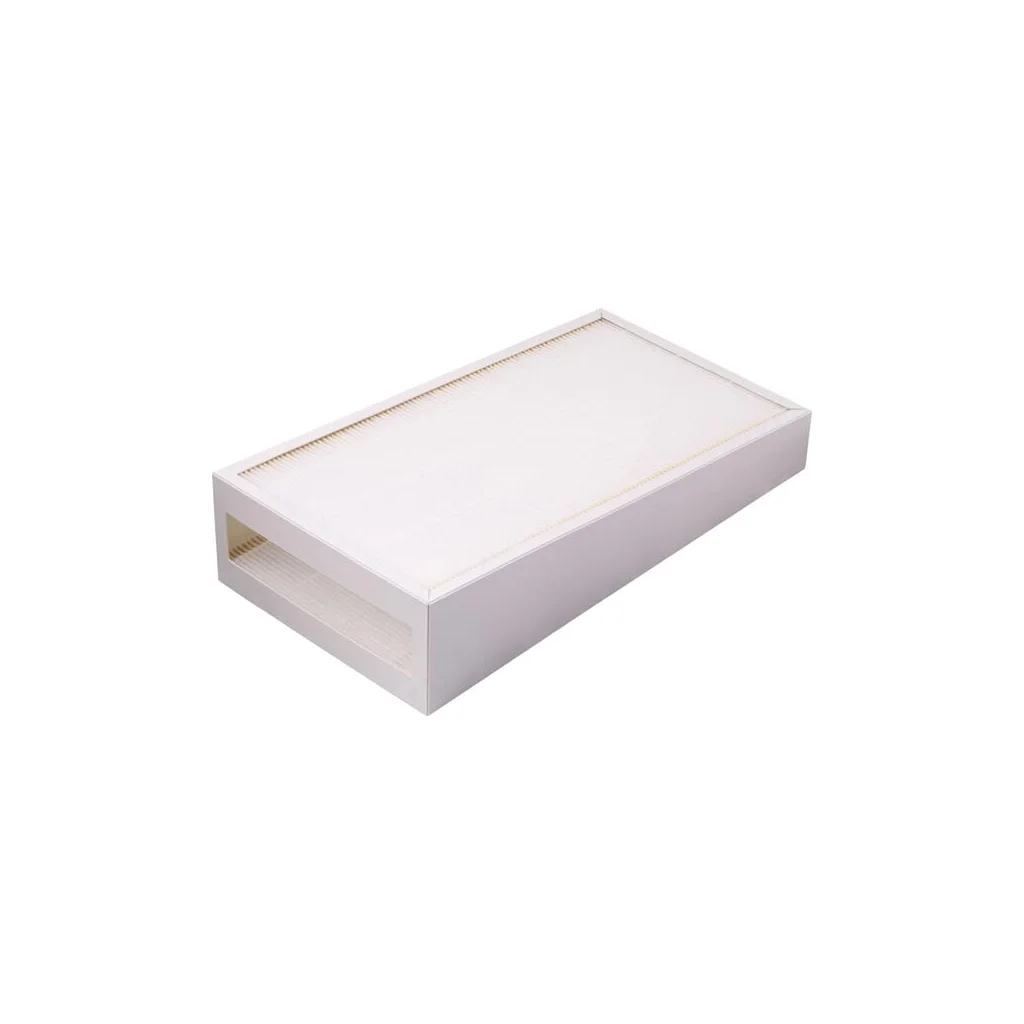 Filtru particule