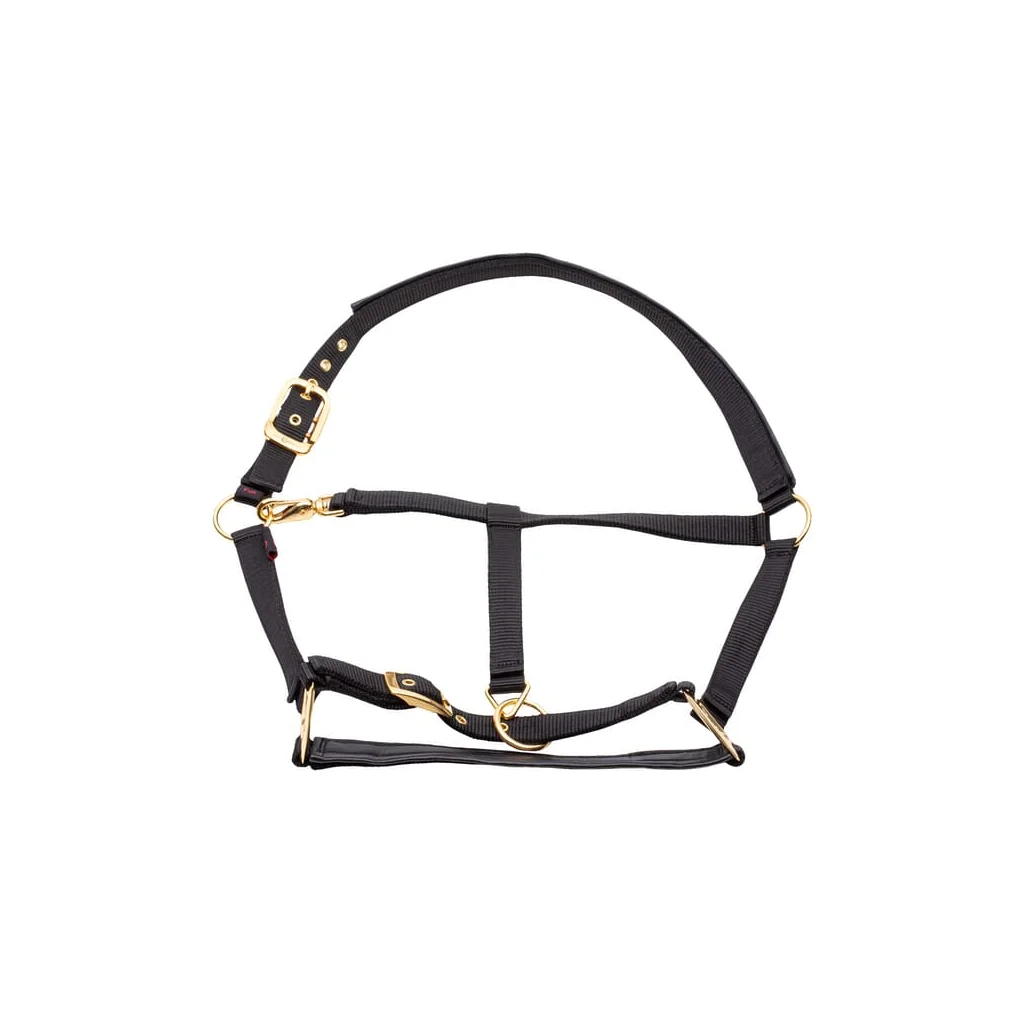 Halter Topline negru Full