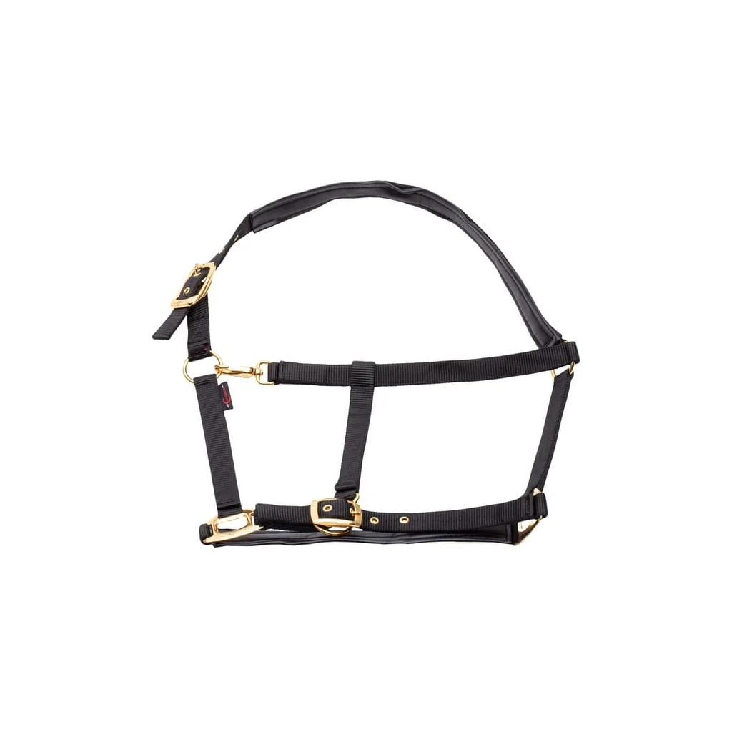 Halter Topline negru XFull