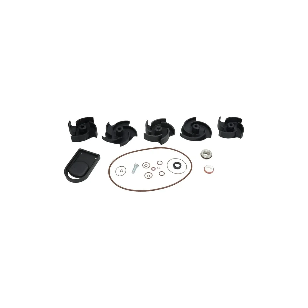 Kit reparație pompă Poly 2" FKM