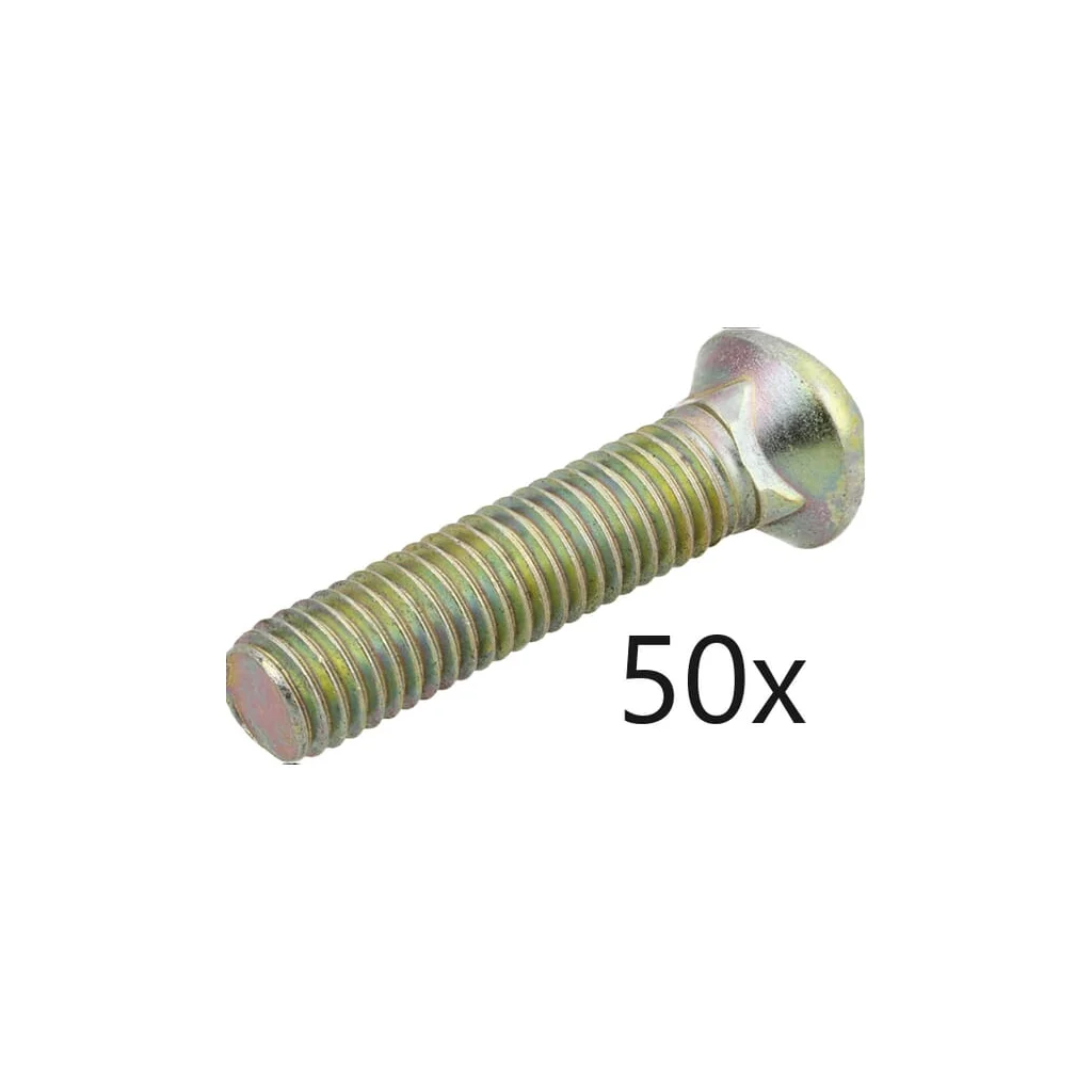 Pachet cu șuruburi 50 buc M10x45